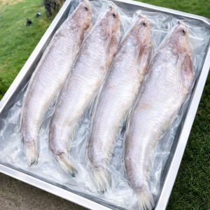 KHÔ CÁ KẾT 3 NẮNG 0.5KG